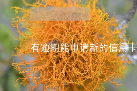 有逾期能申请新的信用卡吗