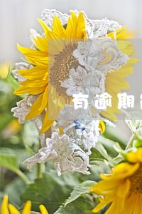 有逾期能租手机吗