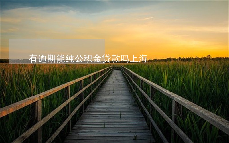 有逾期能纯公积金贷款吗上海 有逾期能纯公积金贷款吗上海