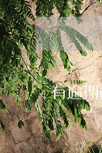 有逾期能装修贷款吗 有逾期能装修贷款吗