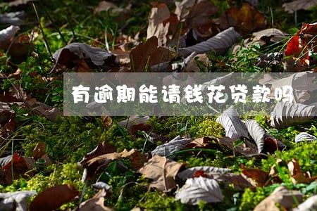 有逾期能请钱花贷款吗