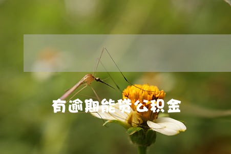 有逾期能贷公积金 有逾期能贷公积金