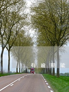 有逾期能贷出来款的网贷 有逾期能贷出来款的网贷