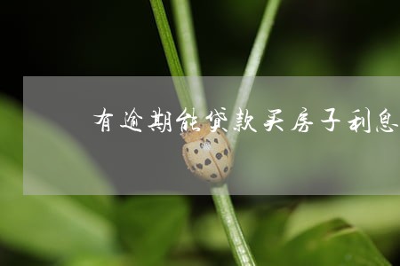 有逾期能贷款买房子利息加点