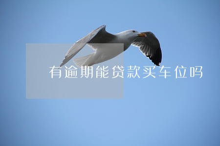 有逾期能贷款买车位吗 有逾期能贷款买车位吗