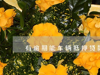 有逾期能车辆抵押贷款吗 有逾期能车辆抵押贷款吗