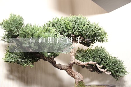 有逾期能过卡卡贷吗