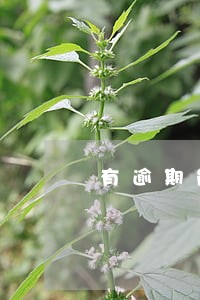 有逾期能过户买房吗 有逾期能过户买房吗