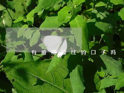 有逾期能过的口子吗 有逾期能过的口子吗