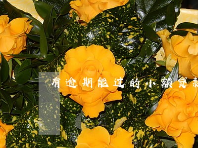 有逾期能过的小额贷款 有逾期能过的小额贷款