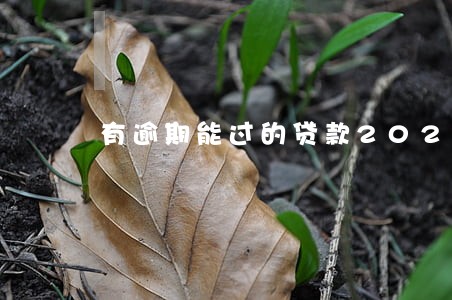 有逾期能过的贷款2021 有逾期能过的贷款2021