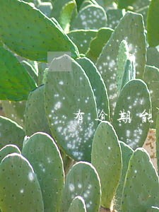 有逾期能过的贷款吗 有逾期能过的贷款吗