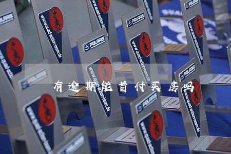 有逾期能首付买房吗
