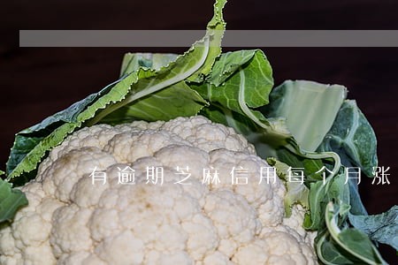 有逾期芝麻信用每个月涨一分 有逾期芝麻信用每个月涨一分