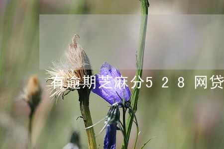 有逾期芝麻分528网贷口子 有逾期芝麻分528网贷口子