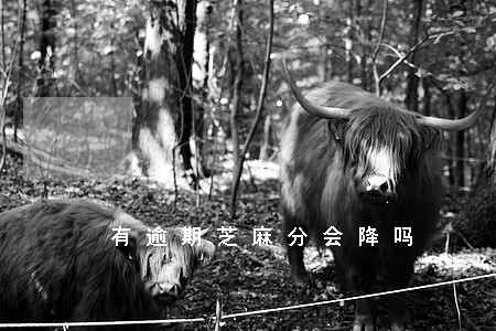 有逾期芝麻分会降吗 有逾期芝麻分会降吗