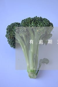 有逾期芝麻分低能下款的口子 有逾期芝麻分低能下款的口子