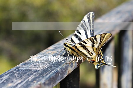 有逾期花呗两年的吗 有逾期花呗两年的吗