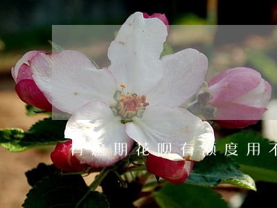 有逾期花呗有额度用不了怎么办 有逾期花呗有额度用不了怎么办