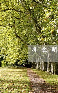 有逾期花呗能关闭嘛 有逾期花呗能关闭嘛