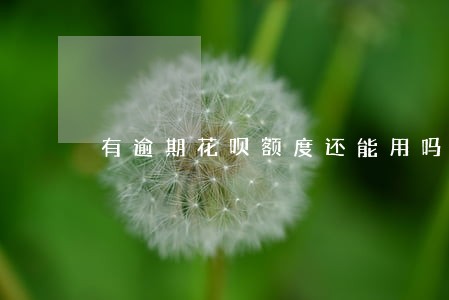 有逾期花呗额度还能用吗 有逾期花呗额度还能用吗