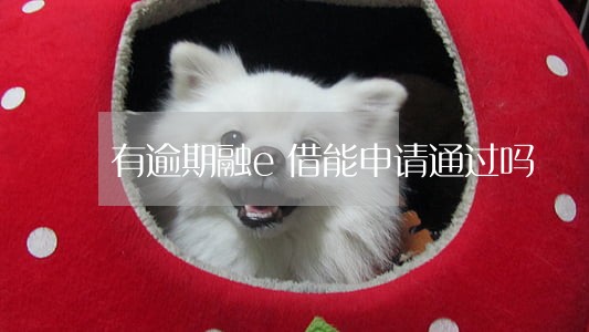 有逾期融e借能申请通过吗