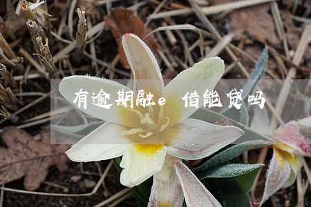 有逾期融e借能贷吗 有逾期融e借能贷吗
