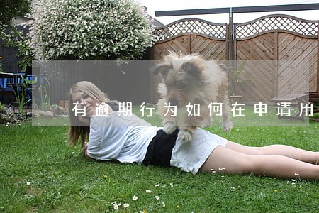 有逾期行为如何在申请用花呗 有逾期行为如何在申请用花呗