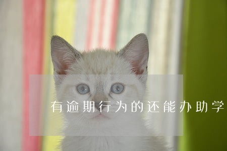 有逾期行为的还能办助学贷款吗 有逾期行为的还能办助学贷款吗