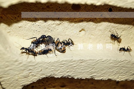 有逾期补全算老赖吗 有逾期补全算老赖吗