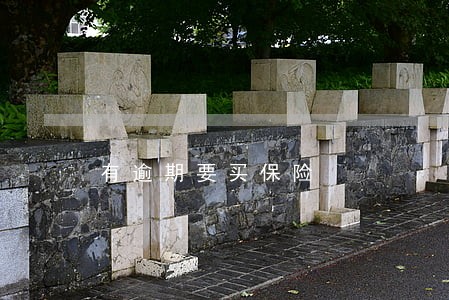 有逾期要买保险