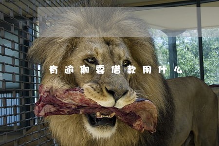 有逾期要借款用什么 有逾期要借款用什么
