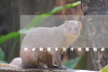 有逾期要多久才能看到逾期记录 有逾期要多久才能看到逾期记录