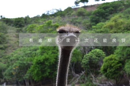 有逾期记录一次还能房贷吗 有逾期记录一次还能房贷吗