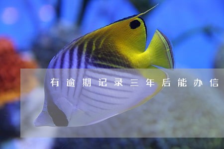 有逾期记录三年后能办信用卡么 有逾期记录三年后能办信用卡么
