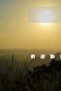 有逾期记录不给办护照
