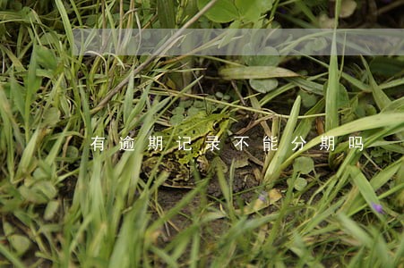 有逾期记录不能分期吗 有逾期记录不能分期吗