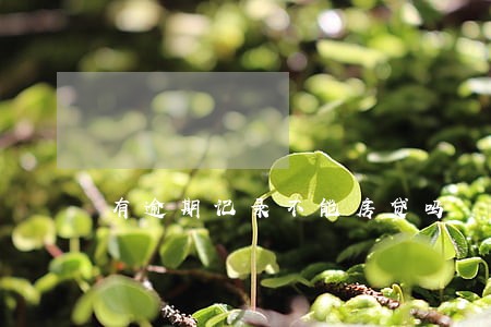 有逾期记录不能房贷吗 有逾期记录不能房贷吗