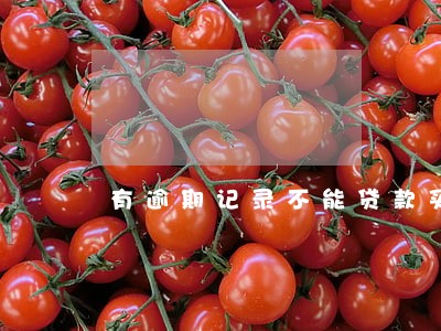 有逾期记录不能贷款买房吗 有逾期记录不能贷款买房吗