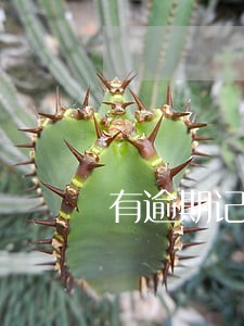 有逾期记录中行公务卡能提额 有逾期记录中行公务卡能提额