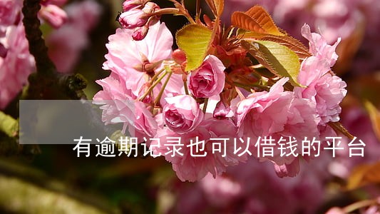 有逾期记录也可以借钱的平台