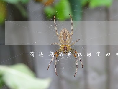 有逾期记录也能借的平台 有逾期记录也能借的平台