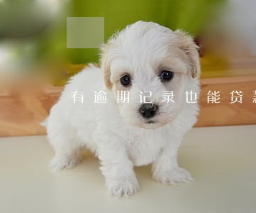有逾期记录也能贷款吗 有逾期记录也能贷款吗