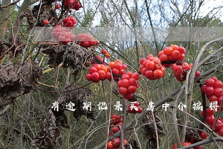 有逾期记录买房中介搞得定吗 有逾期记录买房中介搞得定吗