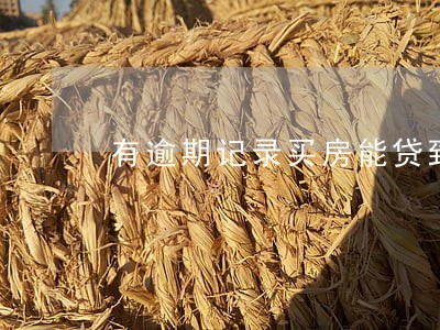 有逾期记录买房能贷到款吗