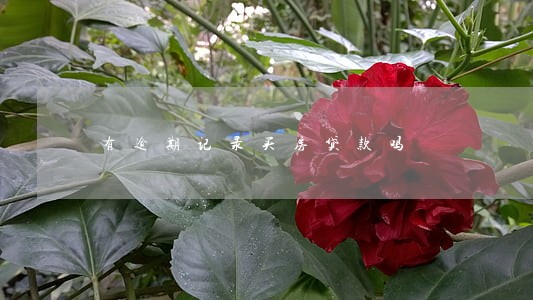 有逾期记录买房贷款吗 有逾期记录买房贷款吗