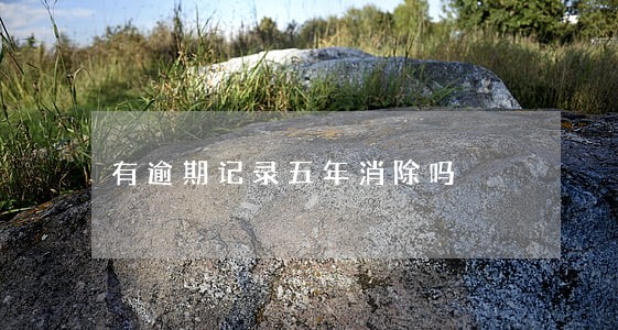 有逾期记录五年消除吗 有逾期记录五年消除吗