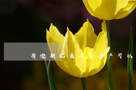 有逾期记录人员房产可以抵押吗 有逾期记录人员房产可以抵押吗