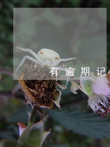 有逾期记录什么平台可以借款 有逾期记录什么平台可以借款