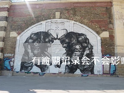 有逾期记录会不会影响政审 有逾期记录会不会影响政审